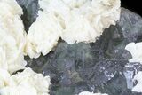 White Dolomite Flowers On Fluorite - (Clearance Price) #44658-2
